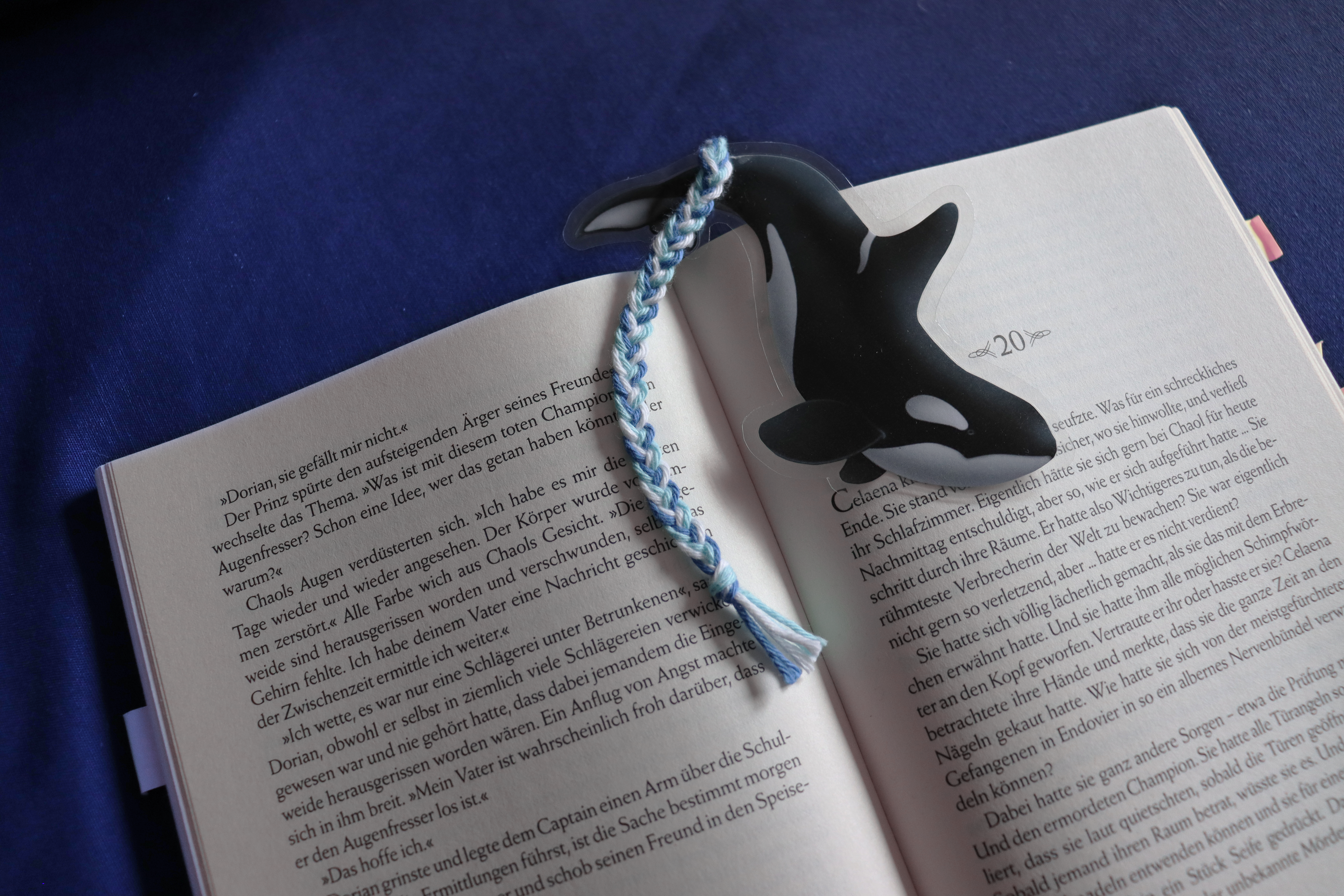 IMG_5154_bookmark2-1